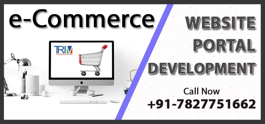 Best Ecommerce Website Development Company, Trimwebsolutions is the Top Ecommerce Website Development Company in US