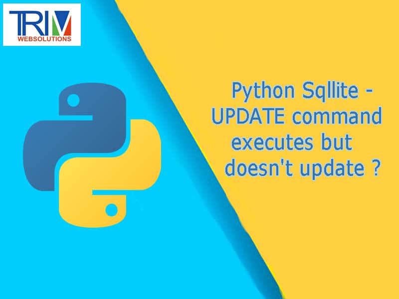 Python Sqllite - UPDATE command executes but doesn't update in python