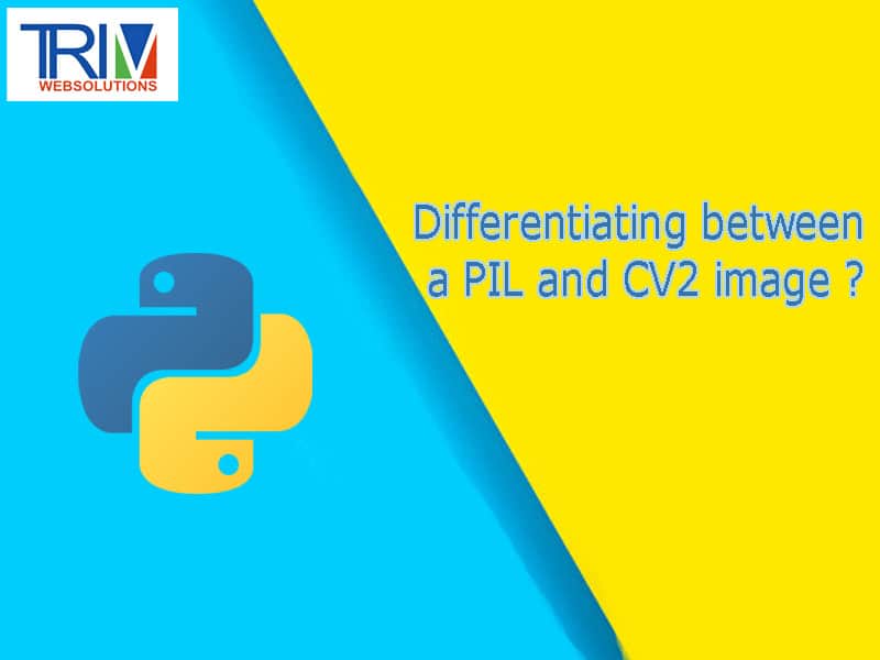 Differentiating between a PIL and CV2 image in python ?