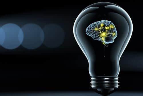 Navigating Knowledge Processing: From Information to Understanding