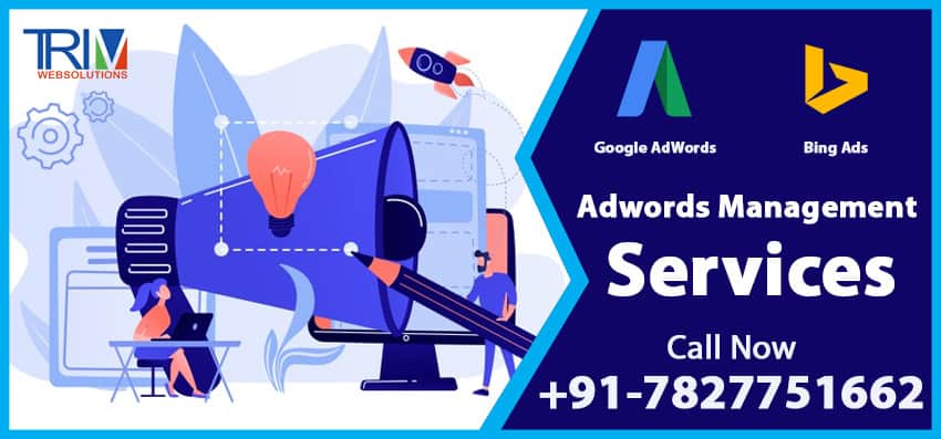 Get Instant Leads With Trimwebsolutions PPC Marketing Services In Bruges