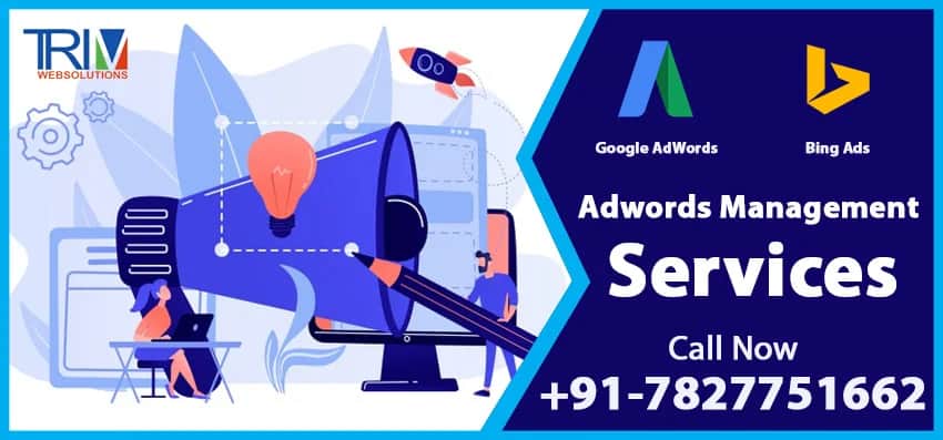 Google or Bings Ads Management Company in Columbia